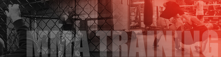 mma gym mma training 2
