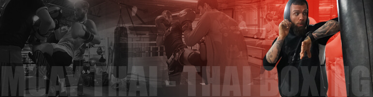 muay thai gym muay thai training